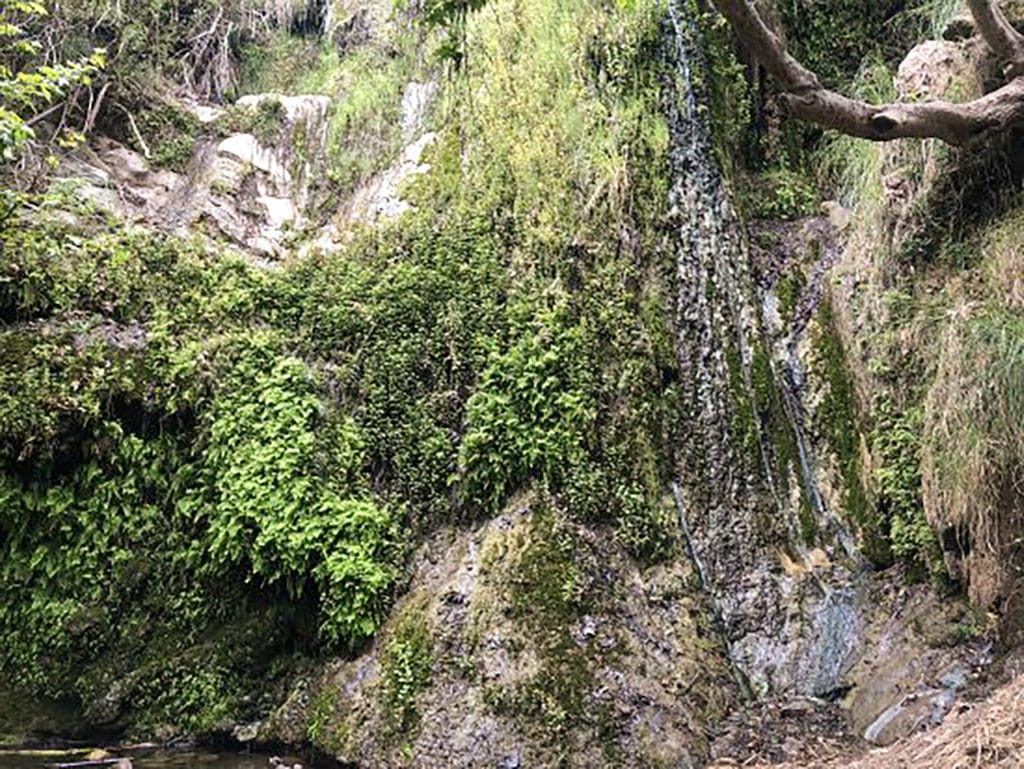 hiking in Escondido Falls