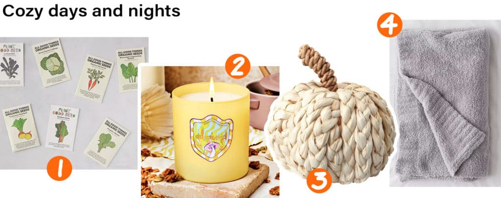 Fall pumpkin spice products for cozy nights