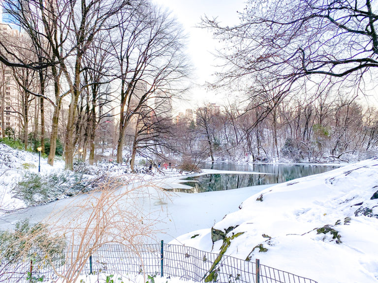 NYC At Christmastime: Central Park covered in snow